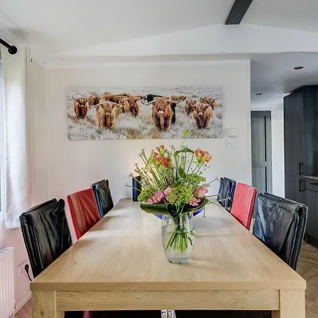 Veluwe Luxury With Private Sauna And Hot Tub - Swimming Pool Tennis Court Supermarket Bowling Alley Theatre And Entertainment For Children Hoenderloo