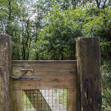 Veluwe Luxury With Private Sauna And Hot Tub - Swimming Pool Tennis Court Supermarket Bowling Alley Theatre And Entertainment For Children * 霍德鲁