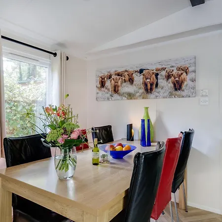 Veluwe Luxury With Private Sauna And Hot Tub - Swimming Pool Tennis Court Supermarket Bowling Alley Theatre And Entertainment For Children Hoenderloo