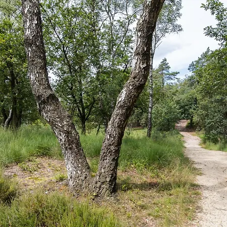 公寓 Veluwe Luxury With Private Sauna And Hot Tub - Swimming Pool Tennis Court Supermarket Bowling Alley Theatre And Entertainment For Children *