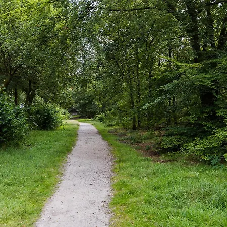 Veluwe Luxury With Private Sauna And Hot Tub - Swimming Pool Tennis Court Supermarket Bowling Alley Theatre And Entertainment For Children Hoenderloo