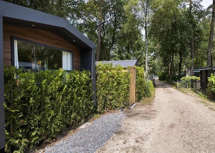 Veluwe Luxury With Private Sauna And Hot Tub - Swimming Pool Tennis Court Supermarket Bowling Alley Theatre And Entertainment For Children Appartamento