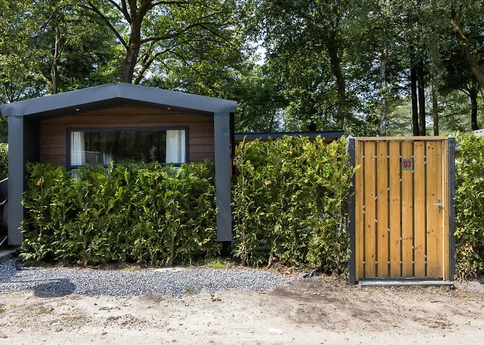 Veluwe Luxury With Private Sauna And Hot Tub - Swimming Pool Tennis Court Supermarket Bowling Alley Theatre And Entertainment For Children Appartamento Hoenderloo