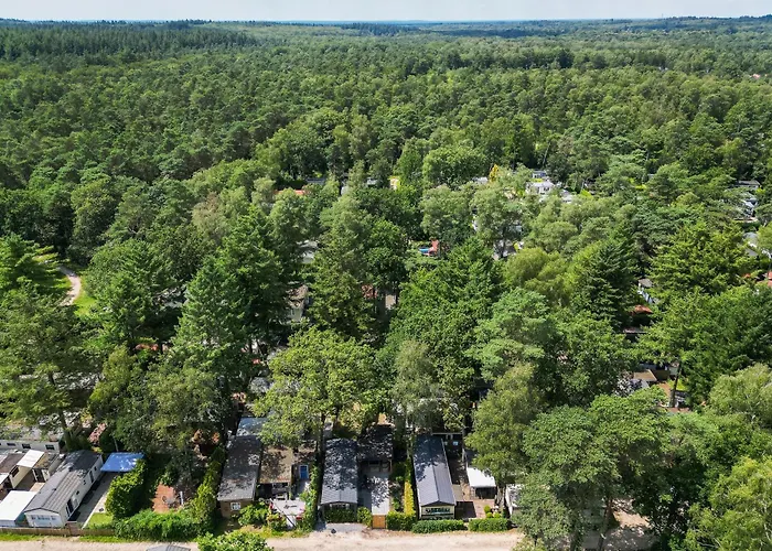 Veluwe Luxury With Private Sauna And Hot Tub - Swimming Pool Tennis Court Supermarket Bowling Alley Theatre And Entertainment For Children Hoenderloo