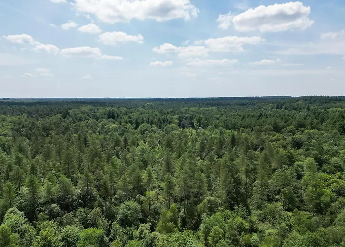 Apartamento Veluwe Luxury With Private Sauna And Hot Tub - Swimming Pool Tennis Court Supermarket Bowling Alley Theatre And Entertainment For Children