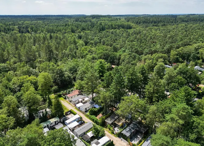 Veluwe Luxury With Private Sauna And Hot Tub - Swimming Pool Tennis Court Supermarket Bowling Alley Theatre And Entertainment For Children Appartamento Hoenderloo