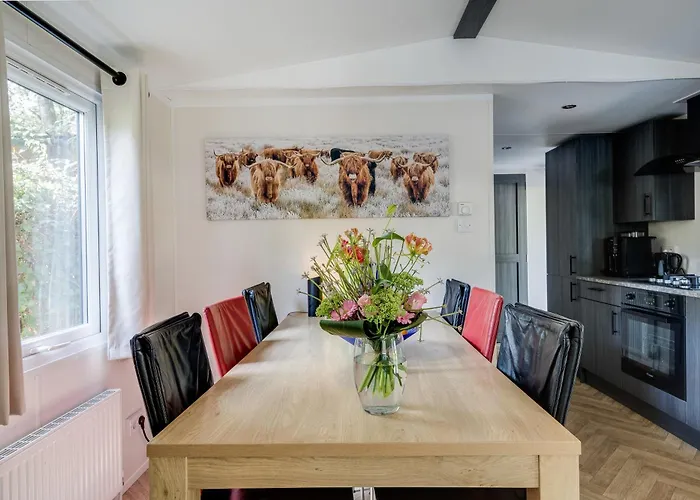 Veluwe Luxury With Private Sauna And Hot Tub - Swimming Pool Tennis Court Supermarket Bowling Alley Theatre And Entertainment For Children Hoenderloo