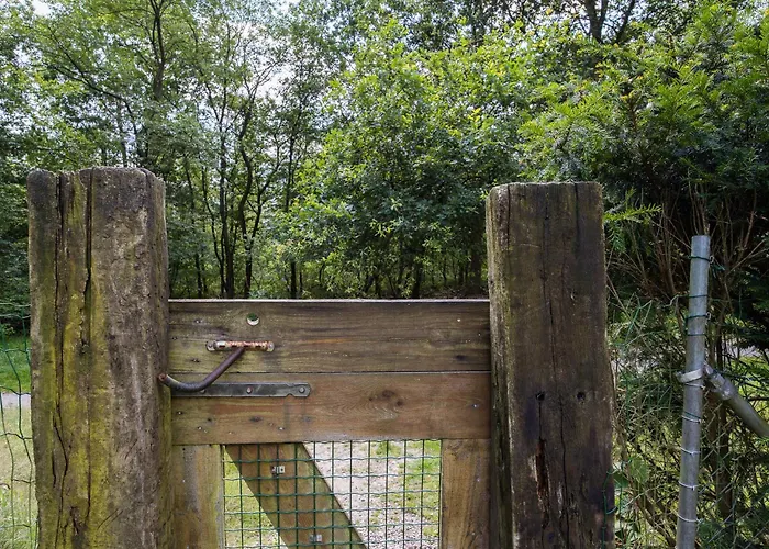 Veluwe Luxury With Private Sauna And Hot Tub - Swimming Pool Tennis Court Supermarket Bowling Alley Theatre And Entertainment For Children * Hoenderloo