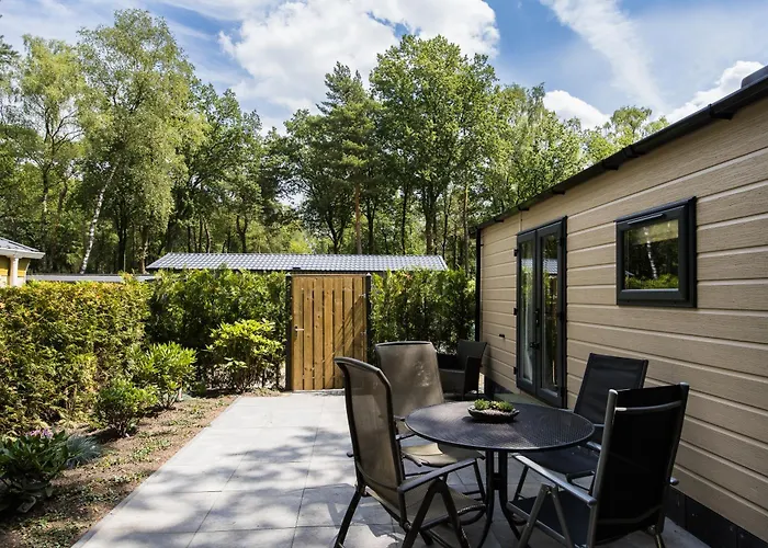 Veluwe Luxury With Private Sauna And Hot Tub - Swimming Pool Tennis Court Supermarket Bowling Alley Theatre And Entertainment For Children