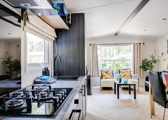 Veluwe Luxury With Private Sauna And Hot Tub - Swimming Pool Tennis Court Supermarket Bowling Alley Theatre And Entertainment For Children *