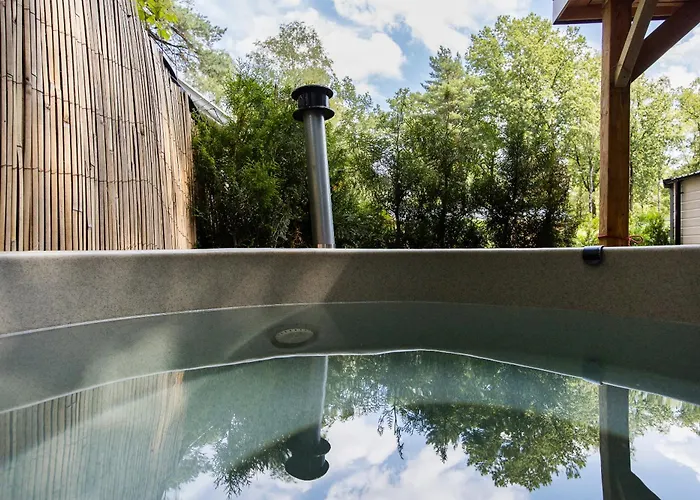 Veluwe Luxury With Private Sauna And Hot Tub - Swimming Pool Tennis Court Supermarket Bowling Alley Theatre And Entertainment For Children Hoenderloo