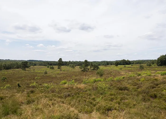 Veluwe Luxury With Private Sauna And Hot Tub - Swimming Pool Tennis Court Supermarket Bowling Alley Theatre And Entertainment For Children Apartamento