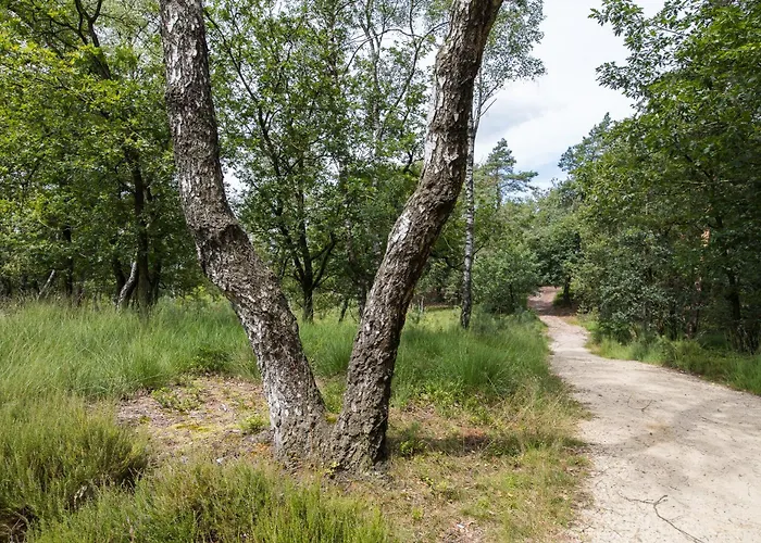 Appartamento Veluwe Luxury With Private Sauna And Hot Tub - Swimming Pool Tennis Court Supermarket Bowling Alley Theatre And Entertainment For Children *