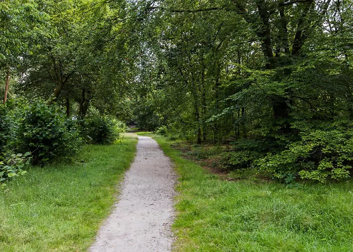 Veluwe Luxury With Private Sauna And Hot Tub - Swimming Pool Tennis Court Supermarket Bowling Alley Theatre And Entertainment For Children Hoenderloo