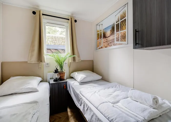 Veluwe Luxury With Private Sauna And Hot Tub - Swimming Pool Tennis Court Supermarket Bowling Alley Theatre And Entertainment For Children *