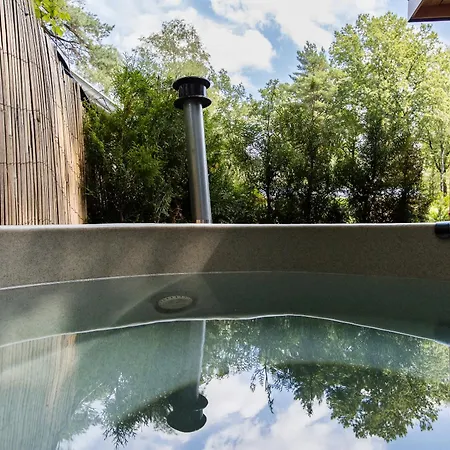 Veluwe Luxury With Private Sauna And Hot Tub - Swimming Pool Tennis Court Supermarket Bowling Alley Theatre And Entertainment For Children Hoenderloo